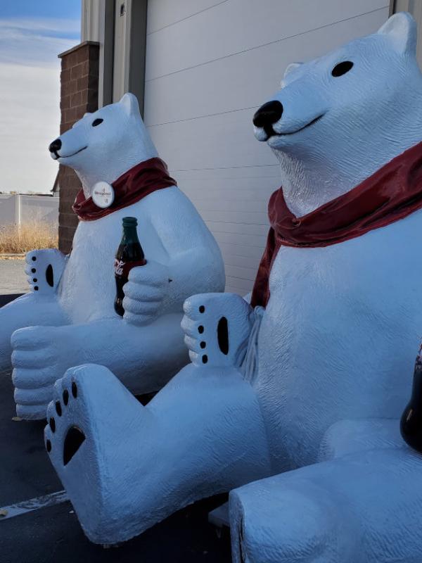 Polar Bear 1